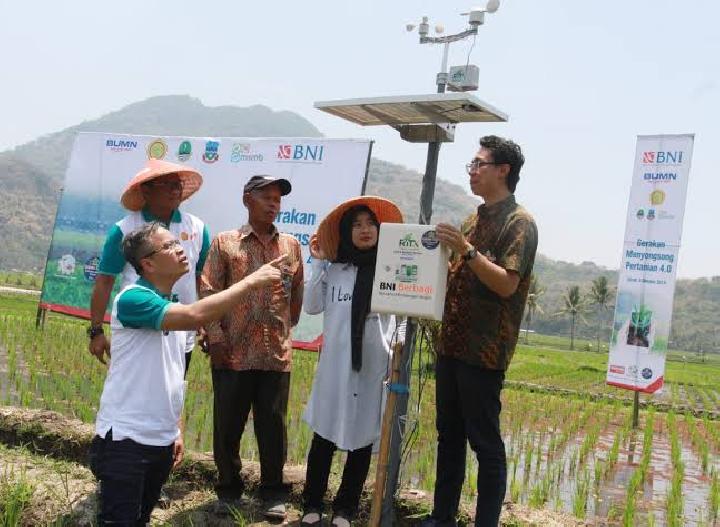 Melalui Program Millennial Smart Farming, BNI Dukung Ketahanan Pangan ...